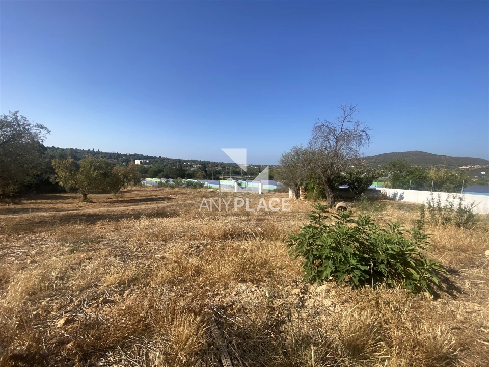 Quinta T0 para Venda em Loule (São Clemente) Foto 19