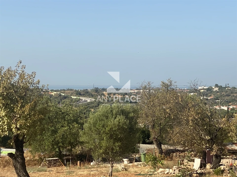 Quinta T0 para Venda em Loule (São Clemente) Foto 6