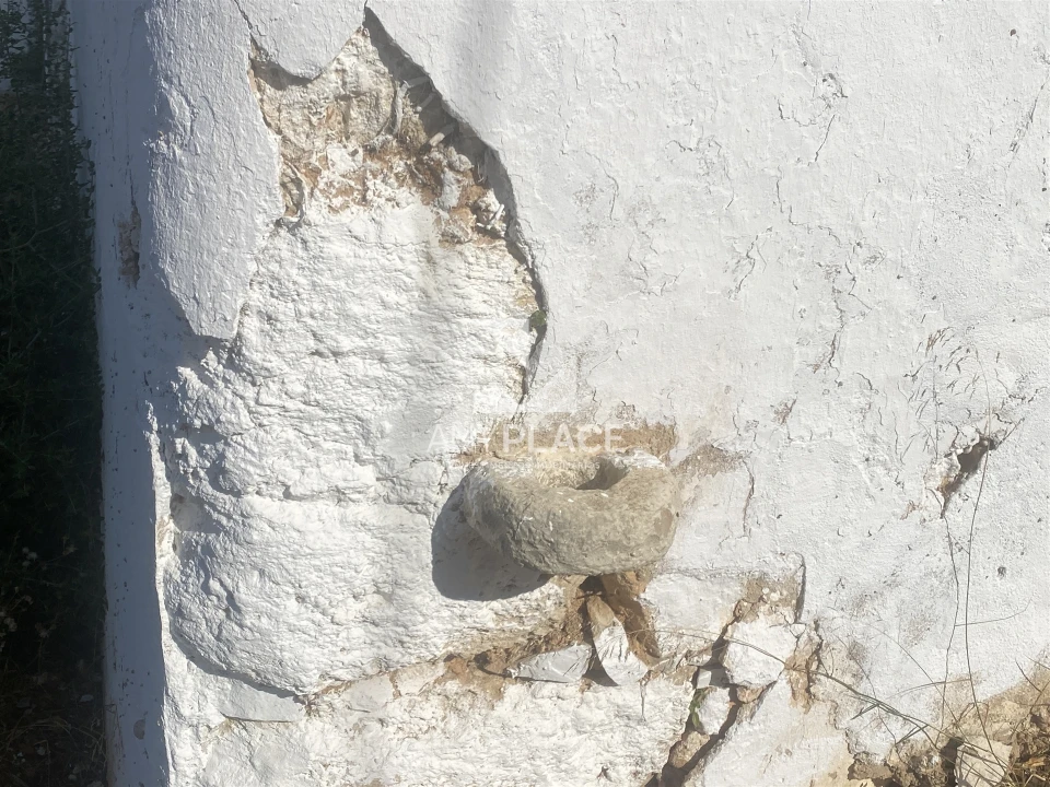 Quinta T0 para Venda em Loule (São Clemente) Foto 11