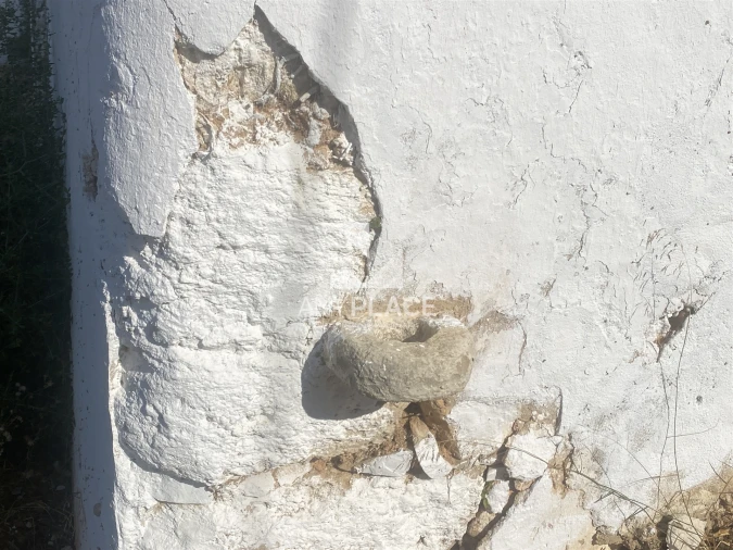 Quinta T0 para Venda em Loule (São Clemente) Foto 11