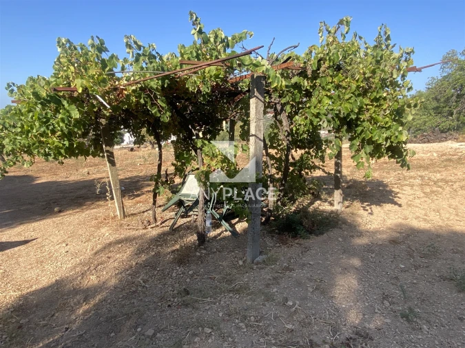 Quinta T0 para Venda em Loule (São Clemente) Foto 9