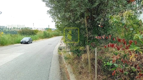 Terreno para Venda em Eiras e São Paulo de Frades