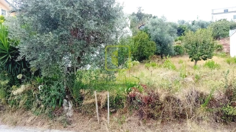 Terreno para Venda em Eiras e São Paulo de Frades