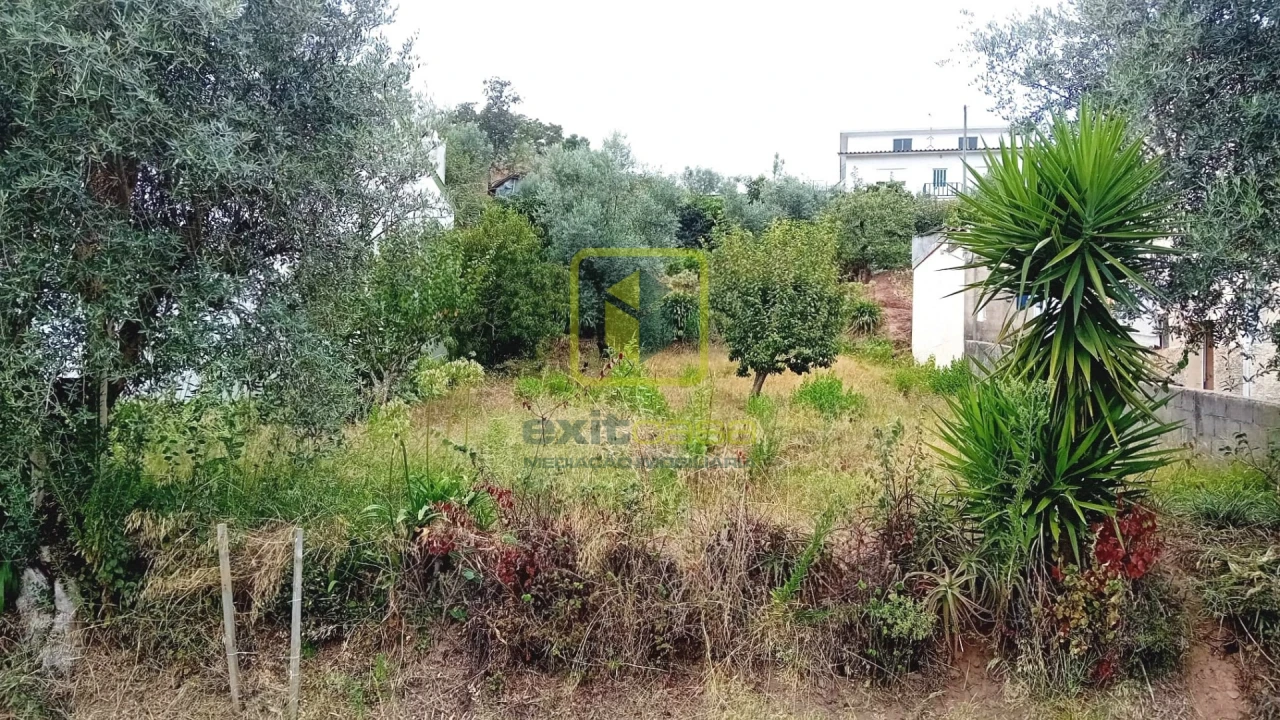 Terreno para Venda em Eiras e São Paulo de Frades Foto 1