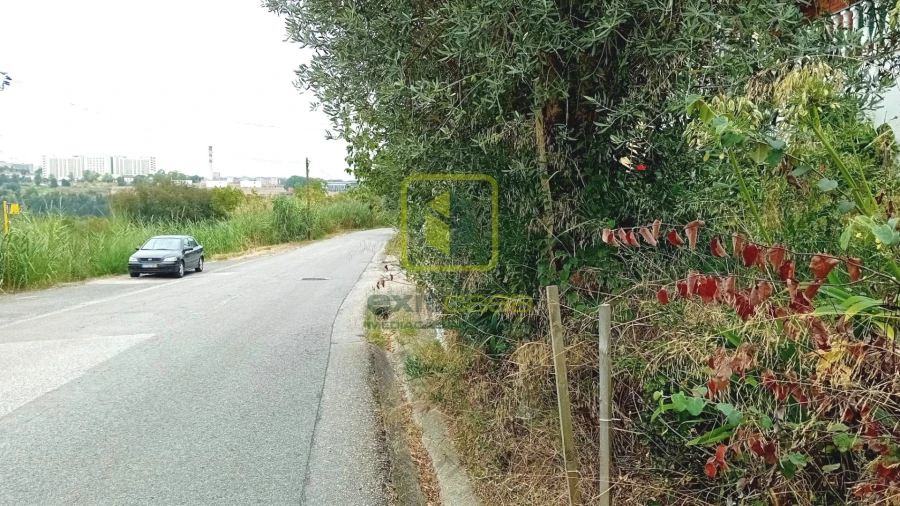 Terreno para Venda em Eiras e São Paulo de Frades Foto 4