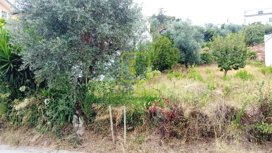 Terreno para Venda em Eiras e São Paulo de Frades Foto 3