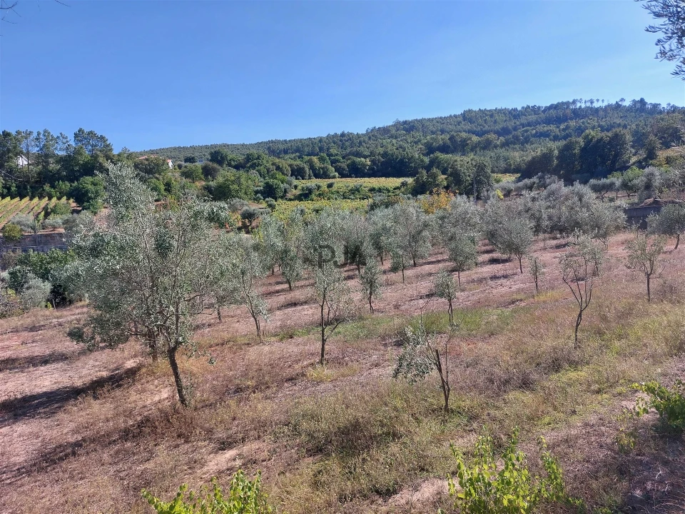 Moradia T5 para Venda em Castelo de Penalva Foto 23