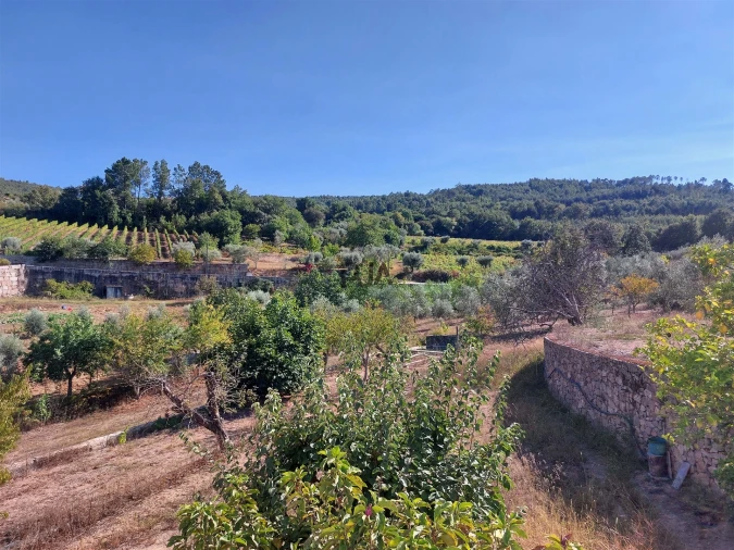 Moradia T5 para Venda em Castelo de Penalva Foto 24