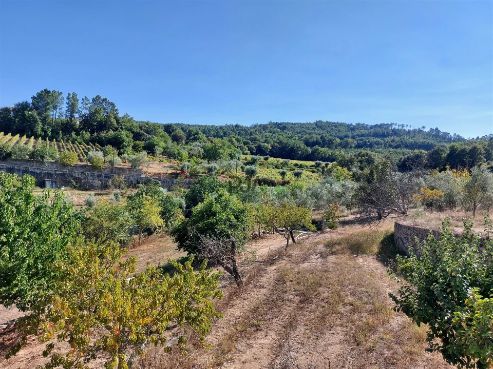Moradia T5 para Venda em Castelo de Penalva Foto 18