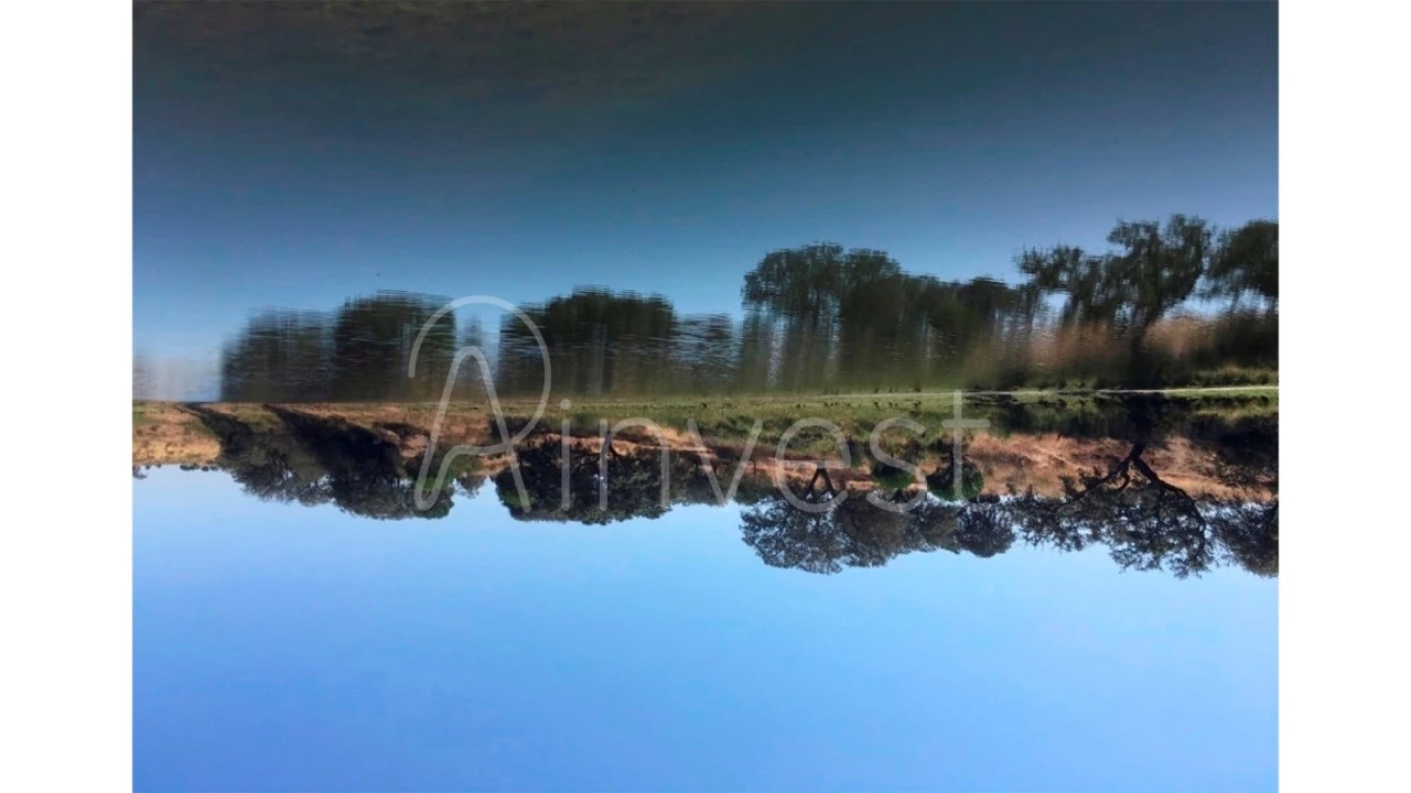 Quinta T13 para Venda em Azinheira dos Barros e São Mamede do Sádão Foto 3