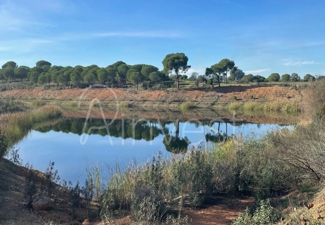 Quinta T13 para Venda em Azinheira dos Barros e São Mamede do Sádão Foto 4