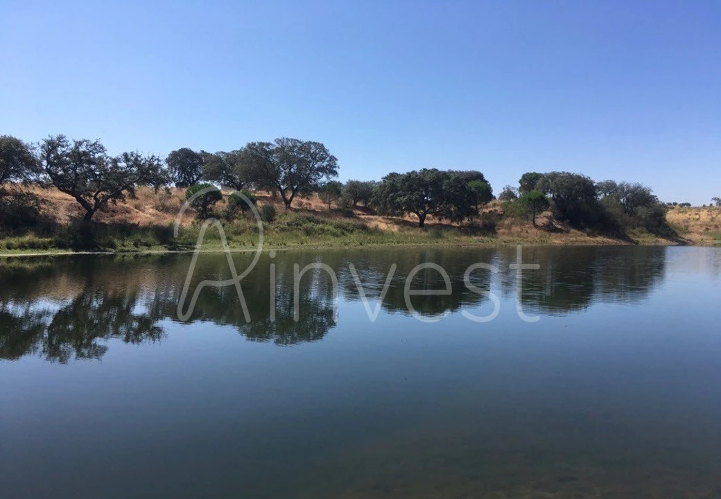 Quinta T13 para Venda em Azinheira dos Barros e São Mamede do Sádão Foto 5