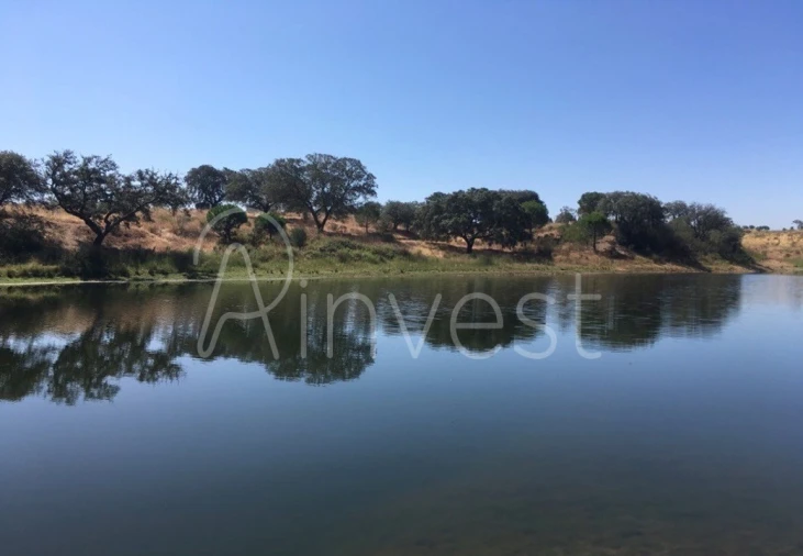 Quinta T13 para Venda em Azinheira dos Barros e São Mamede do Sádão Foto 5