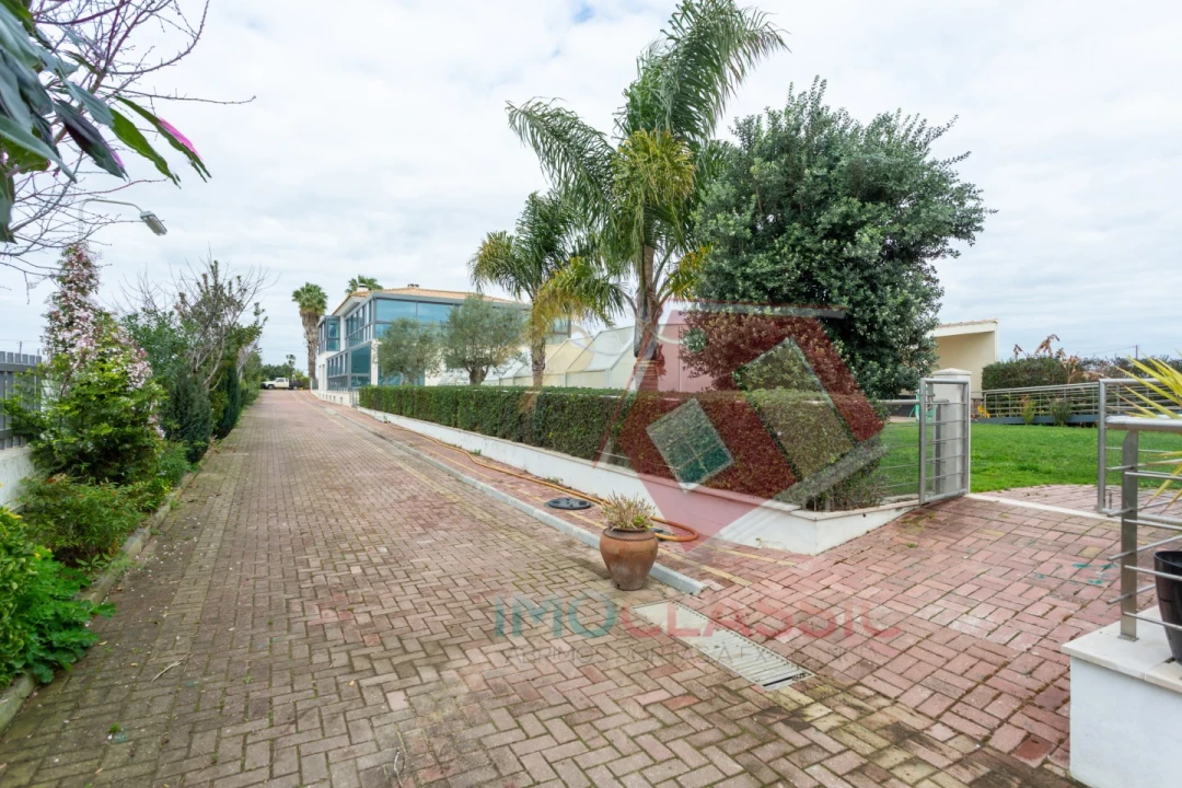 Quinta T7 para Venda em Pinhal Novo Foto 15