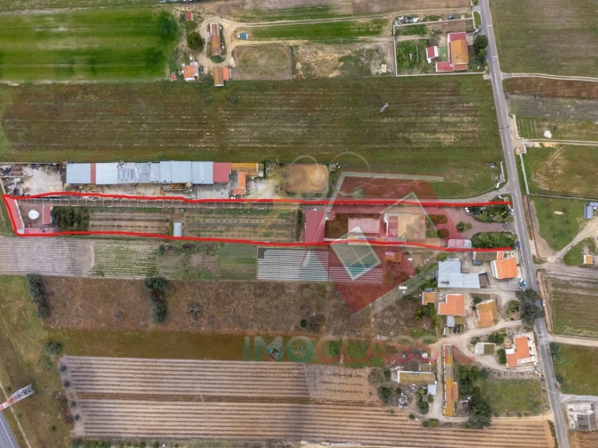 Quinta T7 para Venda em Pinhal Novo Foto 6