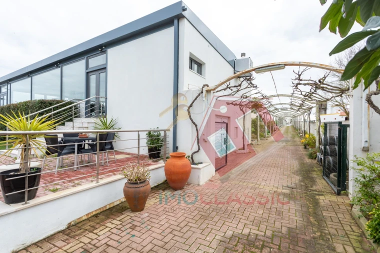 Quinta T7 para Venda em Pinhal Novo Foto 14