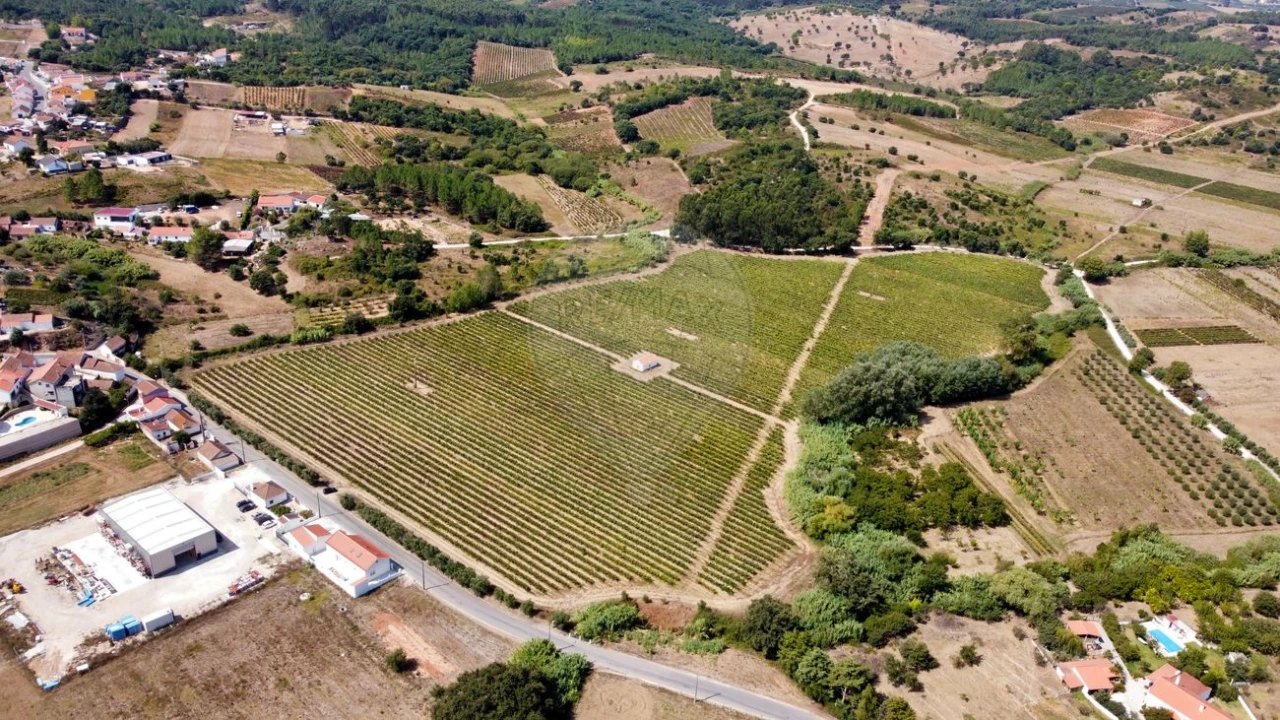 Terreno para Venda em Abrigada e Cabanas de Torres Foto 2