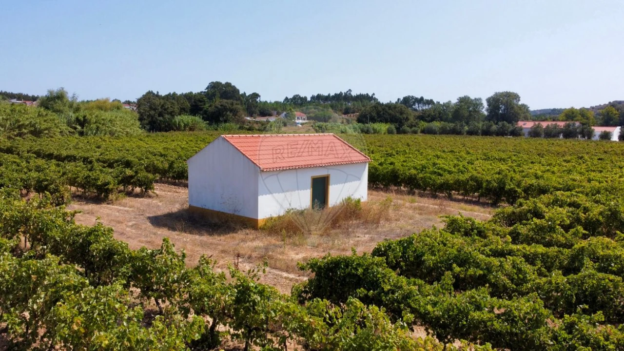 Terreno para Venda em Abrigada e Cabanas de Torres Foto 10