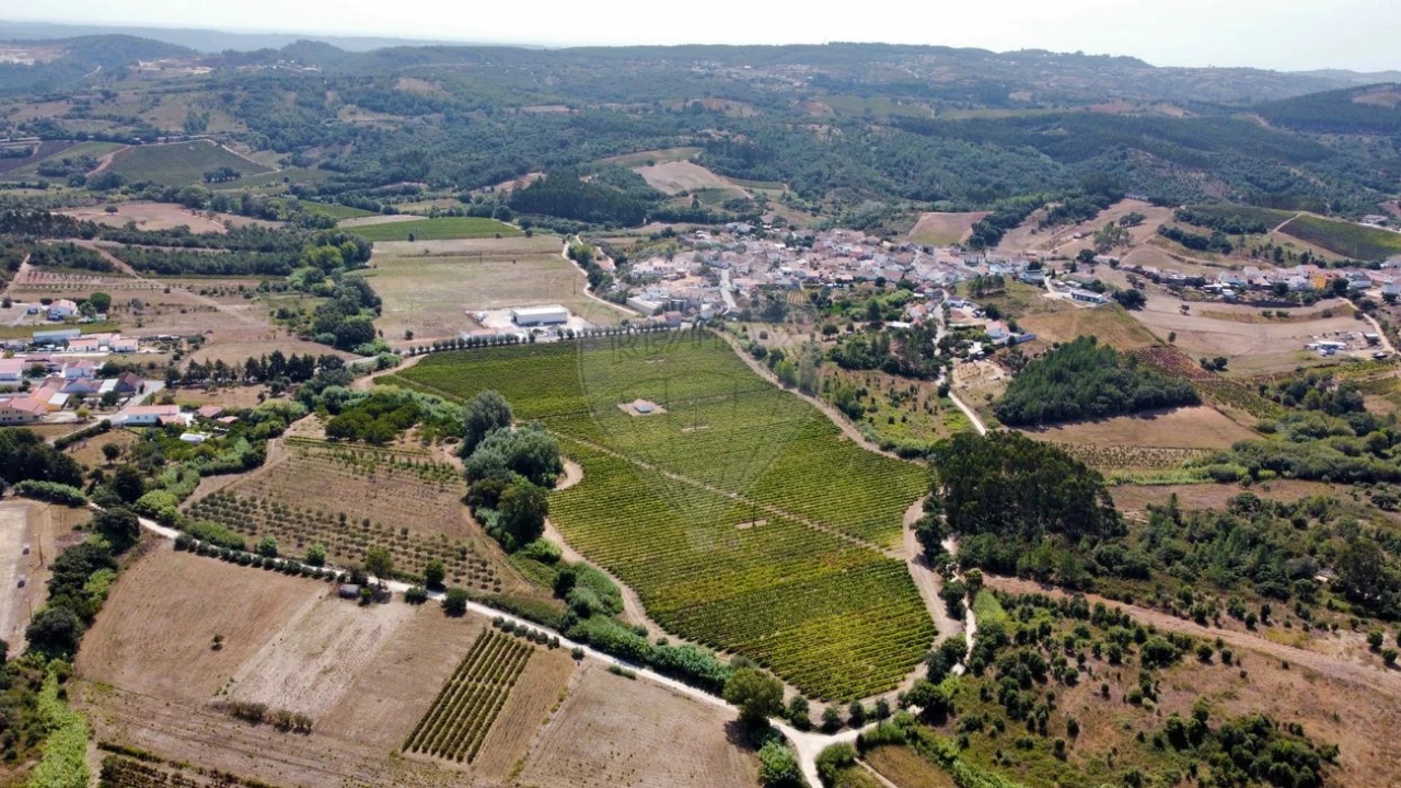 Terreno para Venda em Abrigada e Cabanas de Torres Foto 6