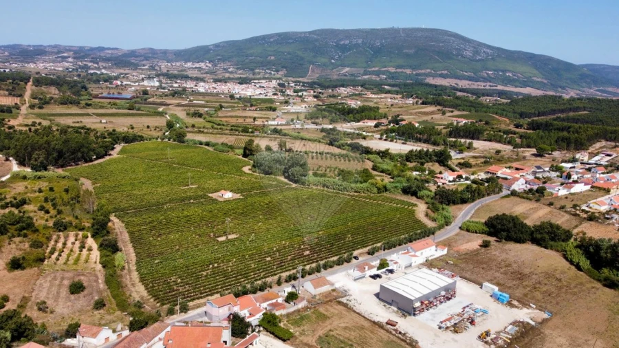Terreno para Venda em Abrigada e Cabanas de Torres Foto 4