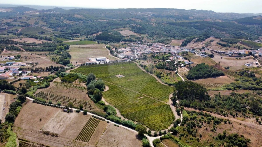 Terreno para Venda em Abrigada e Cabanas de Torres Foto 6