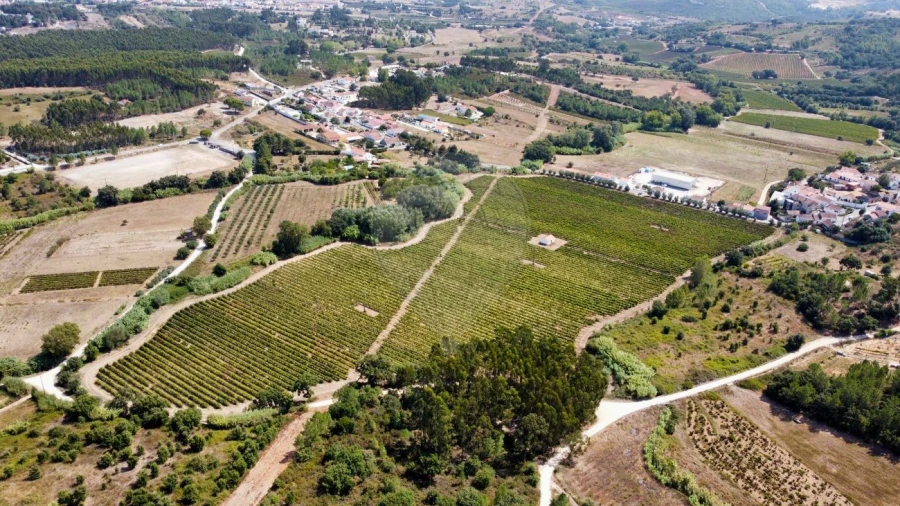 Terreno para Venda em Abrigada e Cabanas de Torres Foto 7