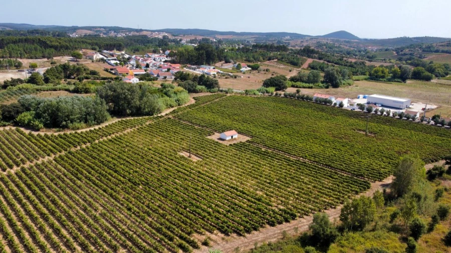 Terreno para Venda em Abrigada e Cabanas de Torres Foto 8