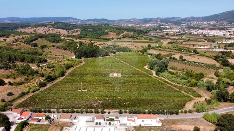 Terreno para Venda em Abrigada e Cabanas de Torres Foto 3