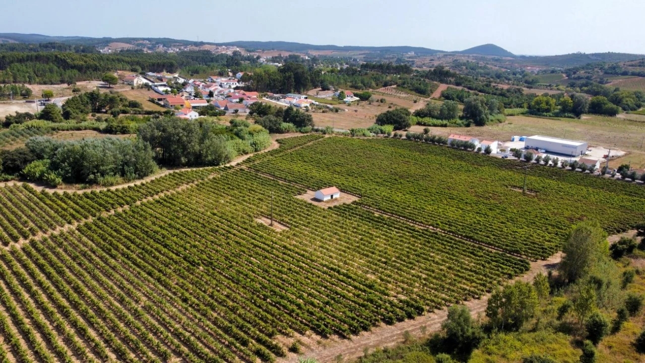 Terreno para Venda em Abrigada e Cabanas de Torres Foto 8