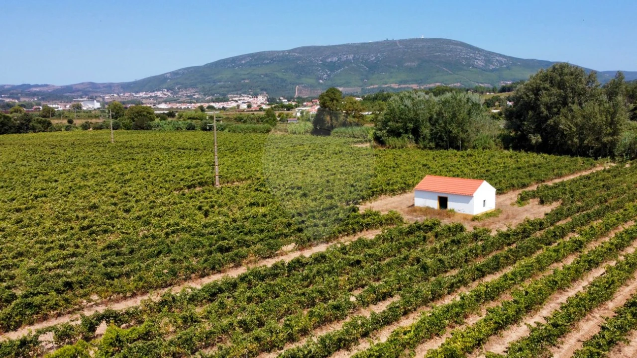 Terreno para Venda em Abrigada e Cabanas de Torres Foto 9