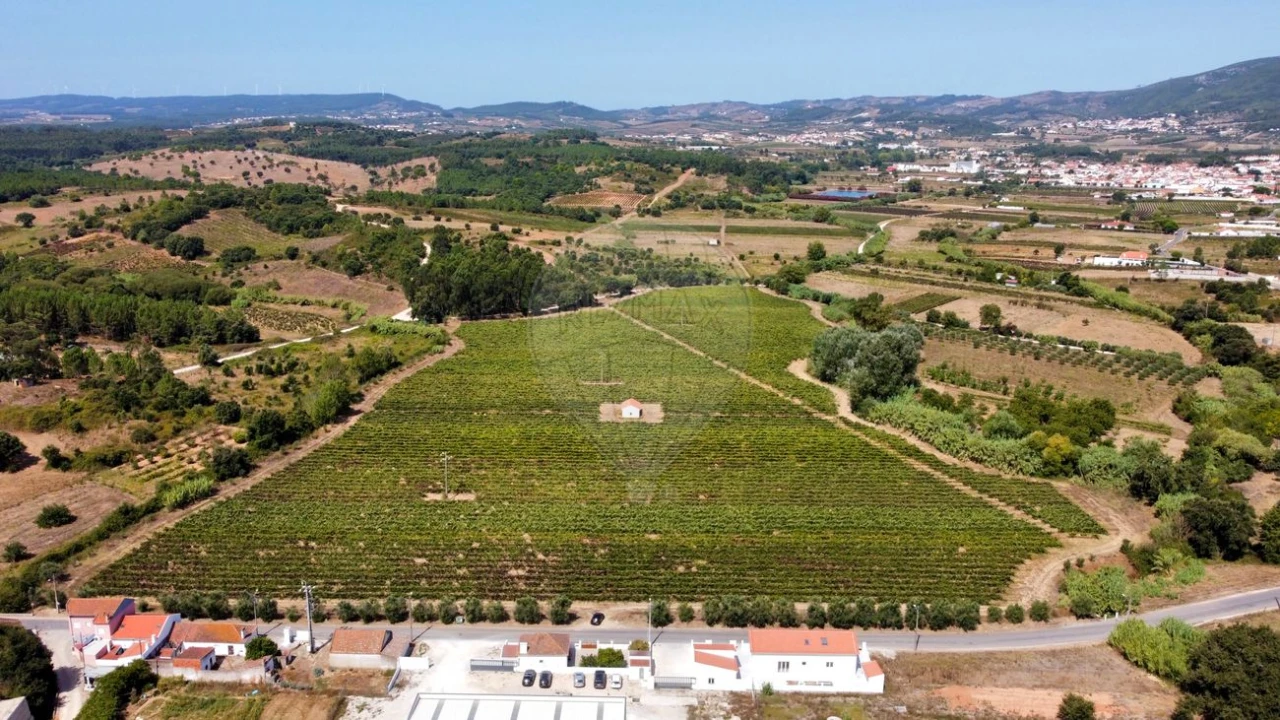 Terreno para Venda em Abrigada e Cabanas de Torres Foto 3