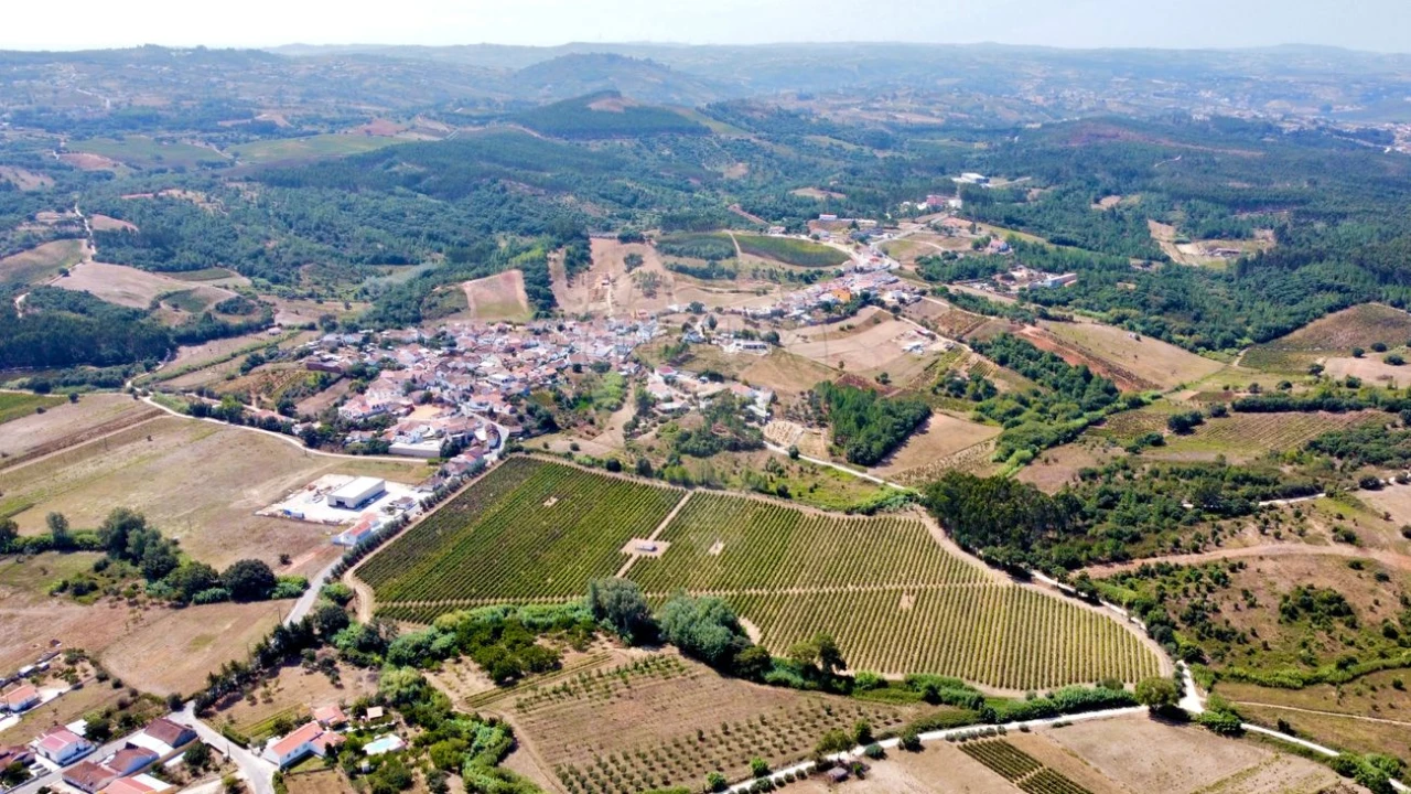 Terreno para Venda em Abrigada e Cabanas de Torres Foto 5