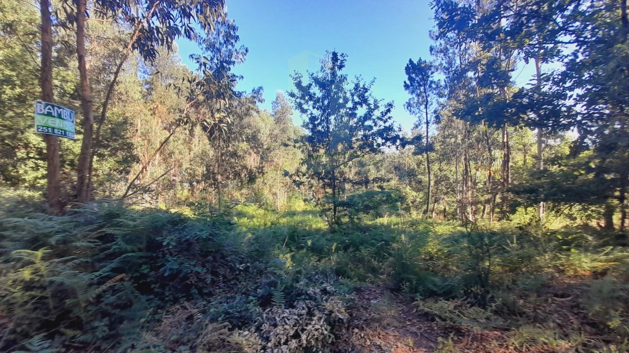 Terreno para Venda em Gandra e Taião Foto 1