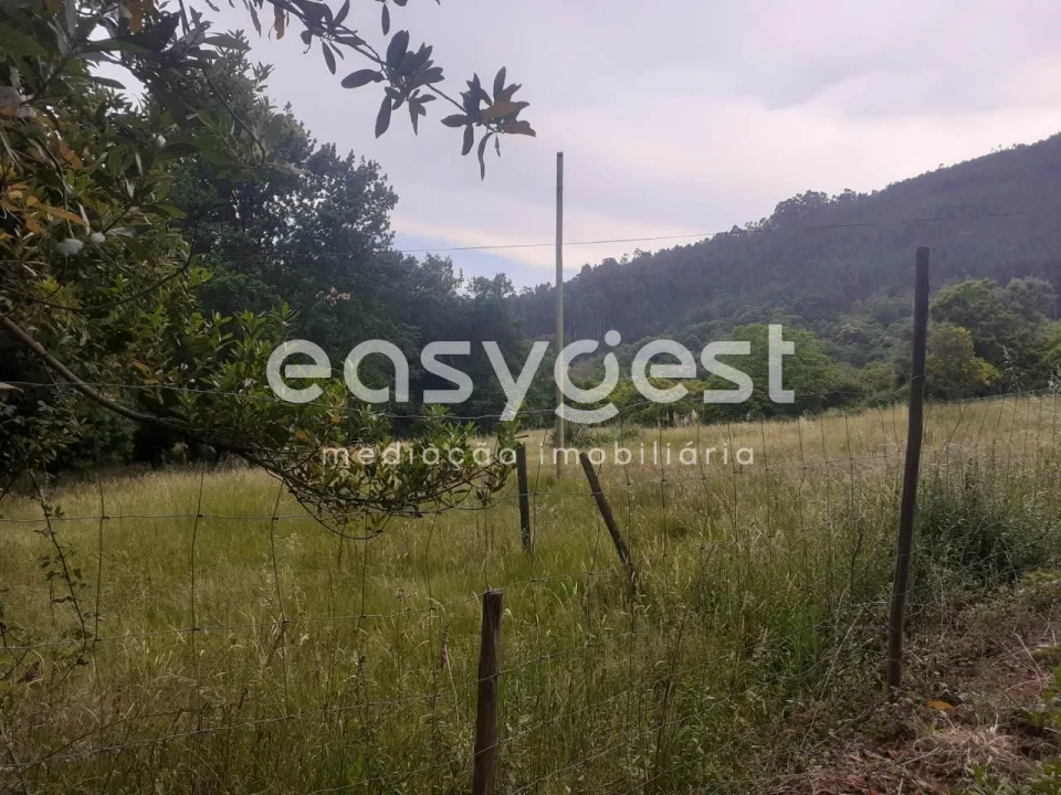 Terreno para Venda em Castelões Foto 2