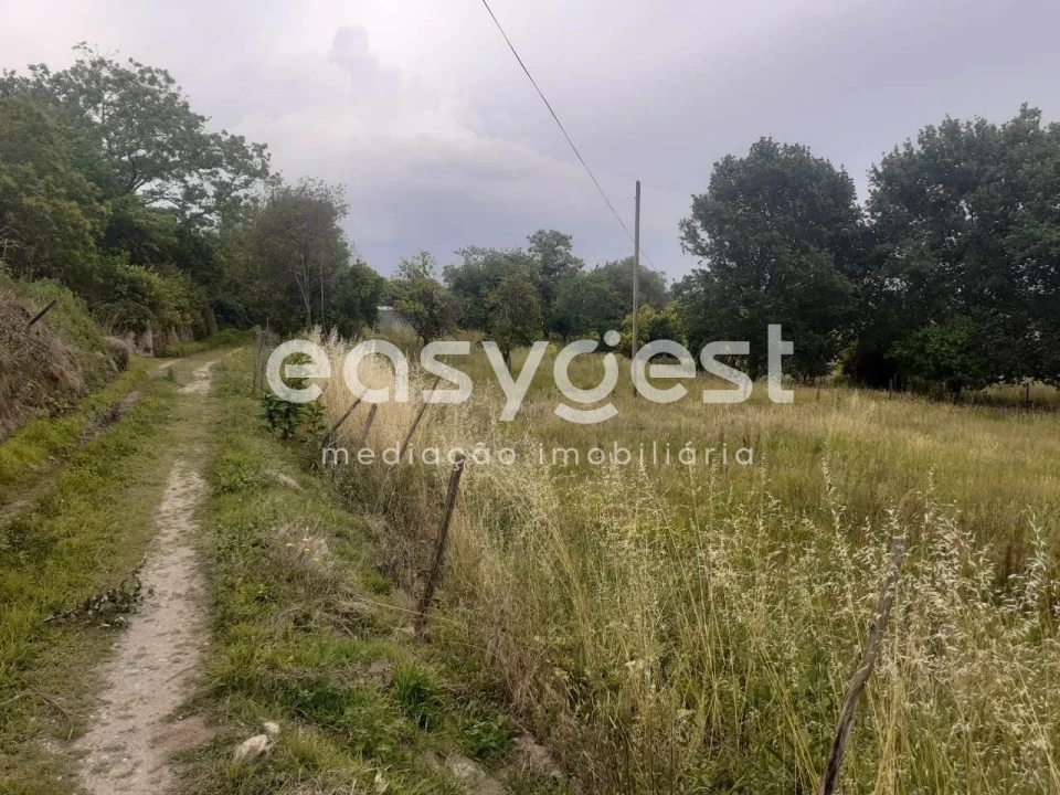 Terreno para Venda em Castelões Foto 3