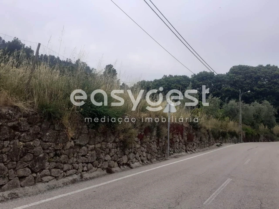 Terreno para Venda em Castelões Foto 7