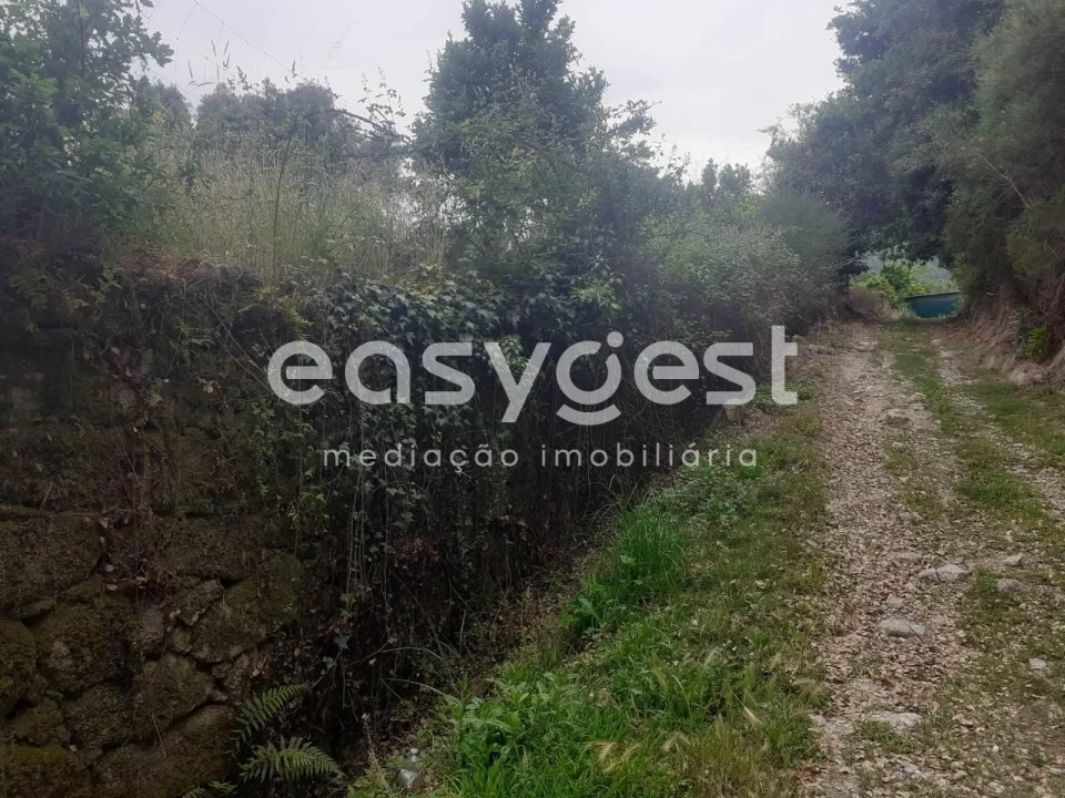 Terreno para Venda em Castelões Foto 16