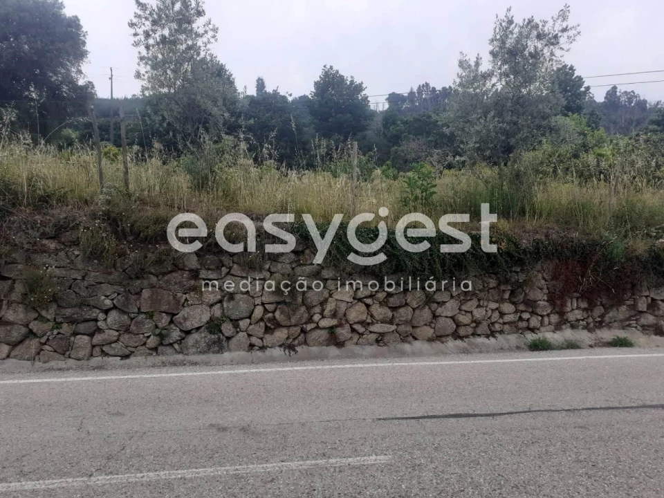 Terreno para Venda em Castelões Foto 17