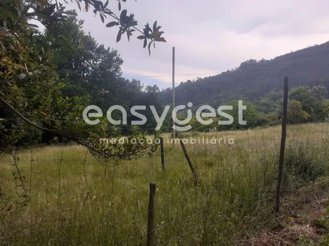 Terreno para Venda em Castelões Foto 2