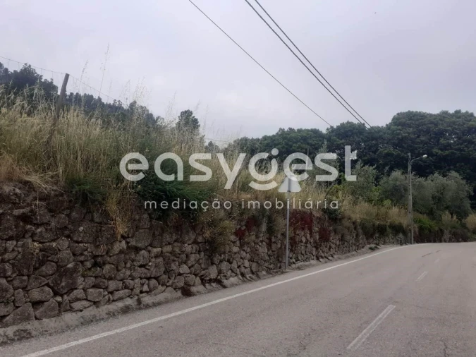 Terreno para Venda em Castelões Foto 7