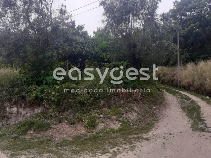 Terreno para Venda em Castelões Foto 14