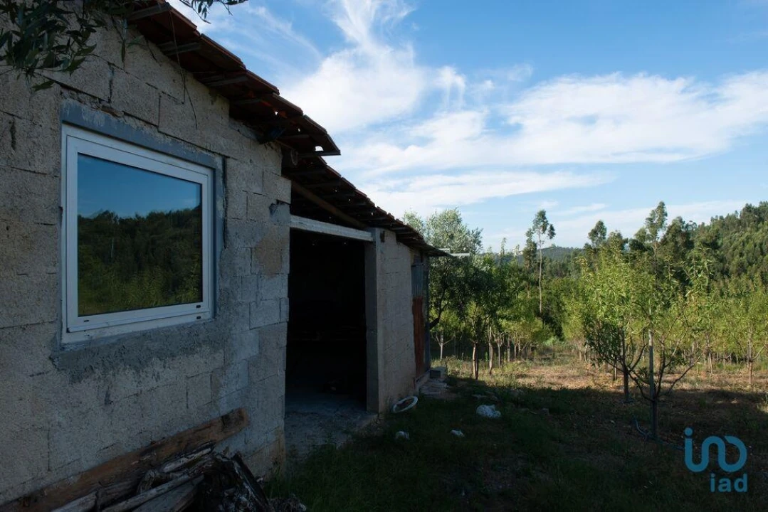 Terreno para Venda em Lamas Foto 6