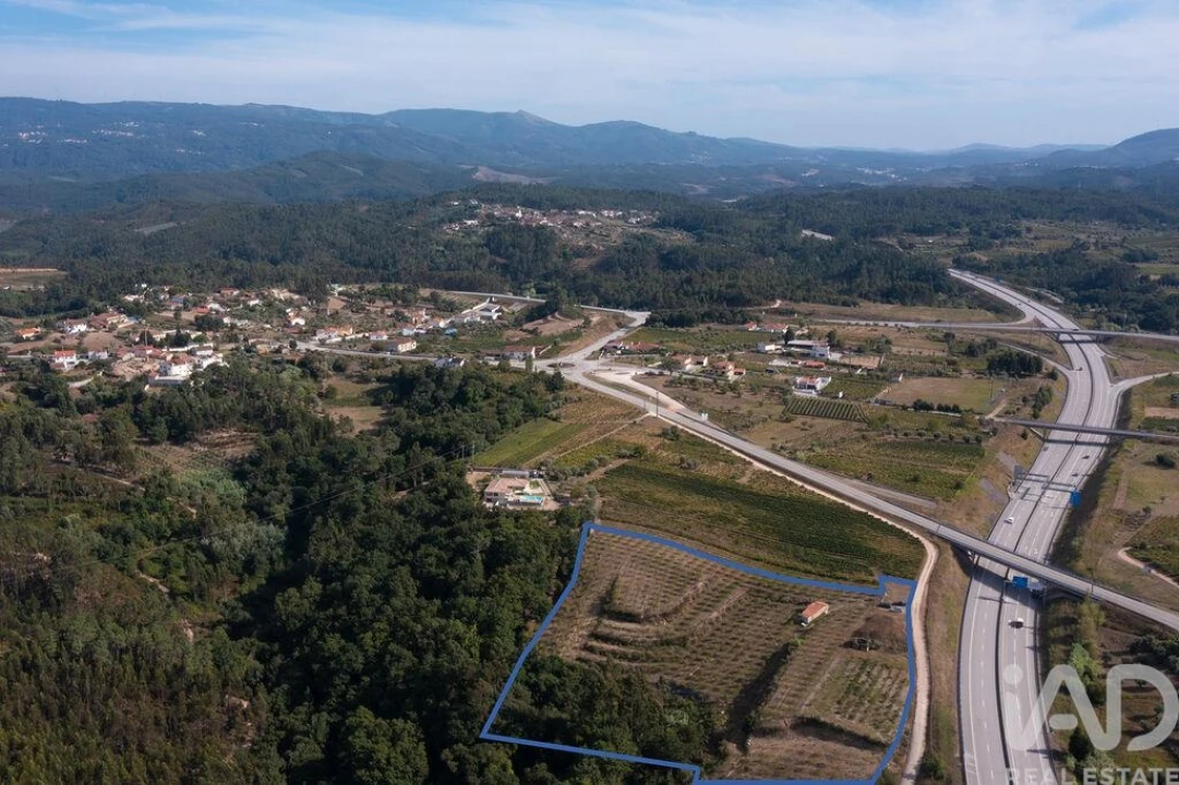 Terreno para Venda em Lamas Foto 27