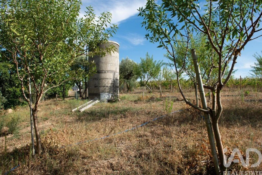 Terreno para Venda em Lamas Foto 25