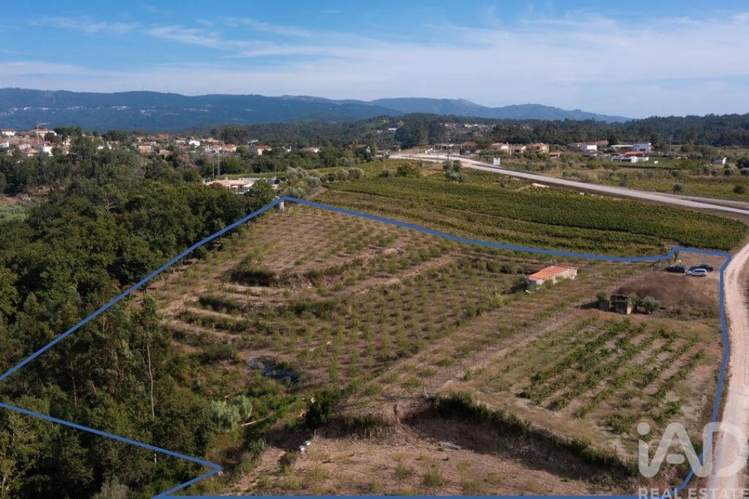 Terreno para Venda em Lamas Foto 30