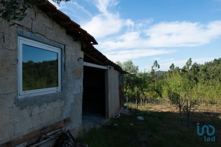 Terreno para Venda em Lamas Foto 6