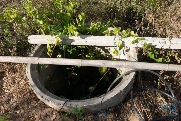 Terreno para Venda em Lamas Foto 7