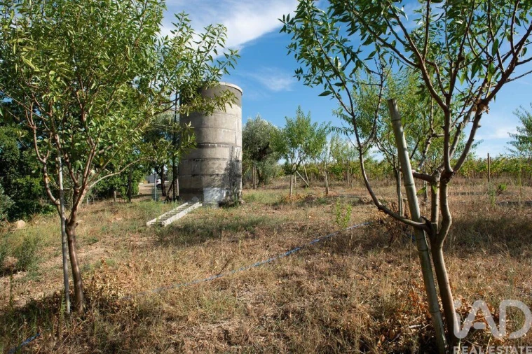 Terreno para Venda em Lamas Foto 25
