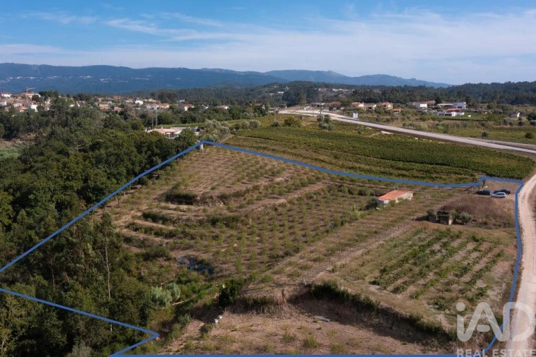 Terreno para Venda em Lamas Foto 30