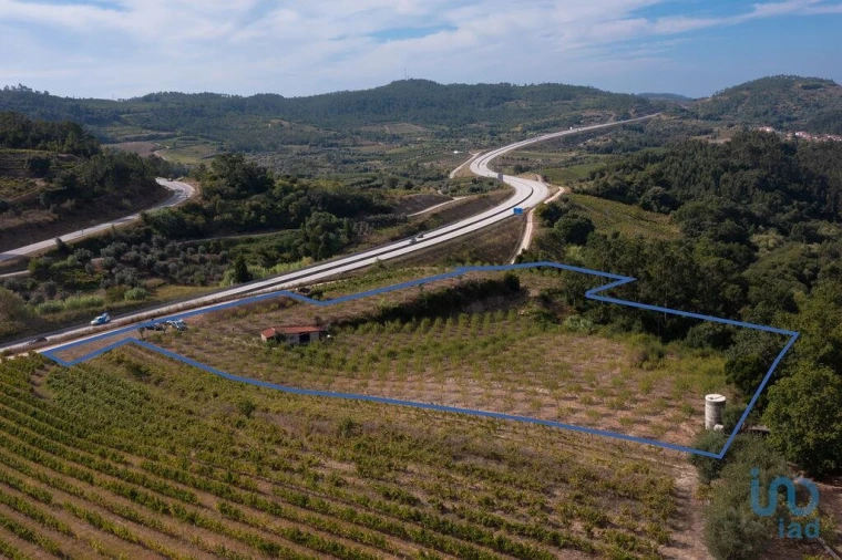 Terreno para Venda em Lamas Foto 3